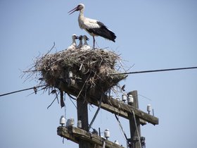 12-0614Mecitö (4).JPG